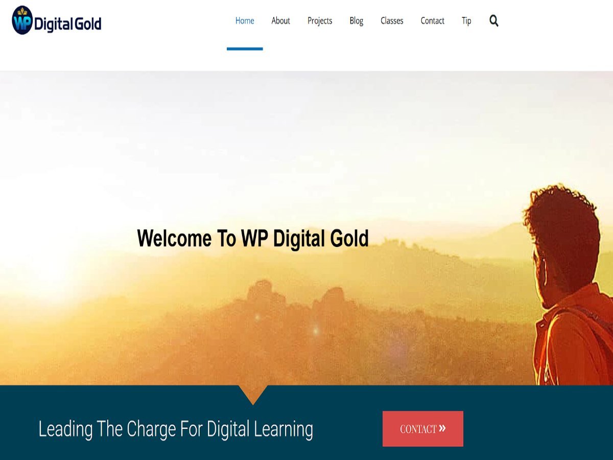 WP Digital Gold website
